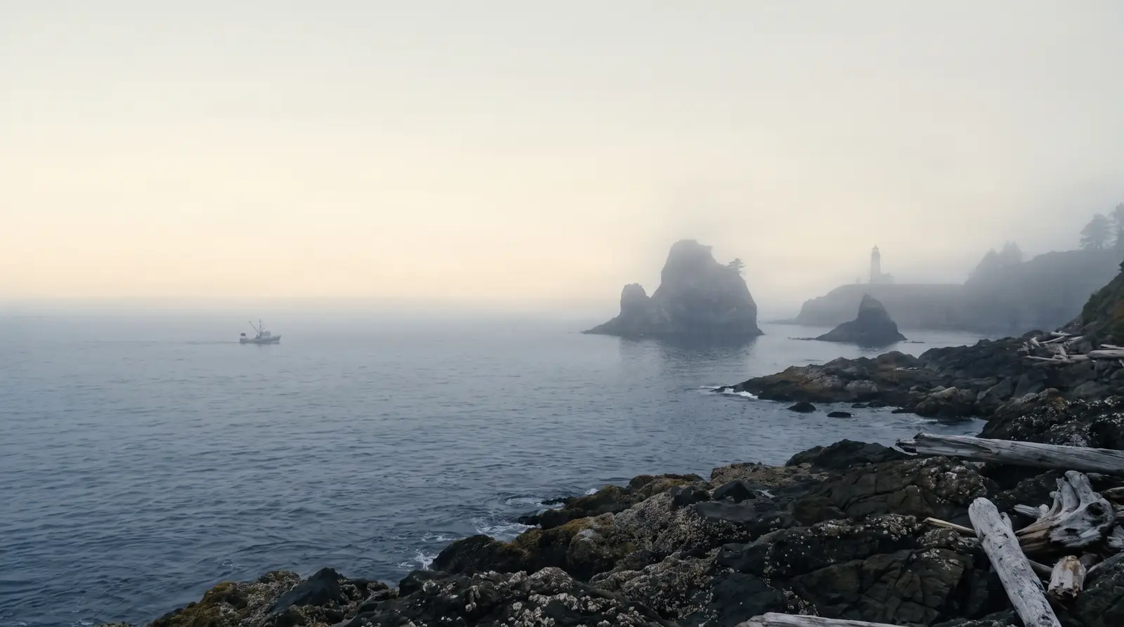 Coastline from the evidence index